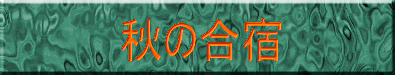 �H�̍��h
