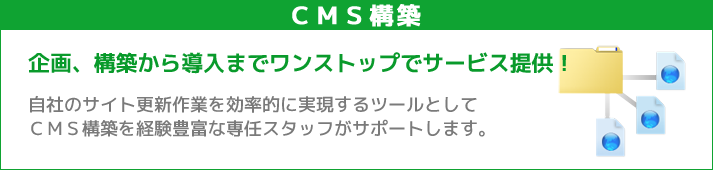 ＣＭＳ構築