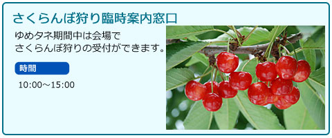 さくらんぼ狩り臨時案内窓口　ゆめタネ期間中は会場でさくらんぼ狩りの受付ができます。　時間10:00～15:00