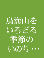 鳥海山いろどる季節のいのち