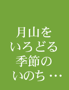 月山いろどる季節のいのち