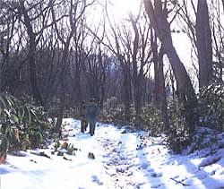 鎧ヶ峰から金峯山への道