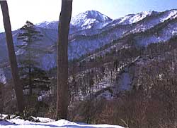 金峯山中から母狩山
